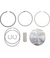 KIT PISTON RPTR 700 10:1