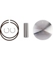 KIT PISTON RR300 B