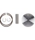 PISTON KIT RR300 C