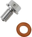 DRAIN PLUG MAGNETIC SLVR