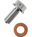 DRAIN PLUG MAGNETIC SLVR