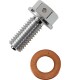 DRAIN PLUG MAGNETIC SLVR