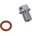 DRAIN PLUG MAGNETIC SLVR
