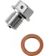 DRAIN PLUG MAGNETIC SLVR