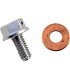 DRAIN PLUG MAGNETIC SLVR