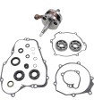 CRANK W/BRG & GASKET