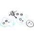 CRANK W/BRG + GASKET
