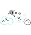 CRANK W/BRG + GASKET