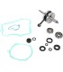 CRANK W/BRG GASKET