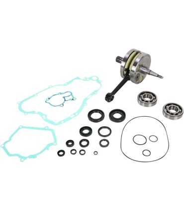 CRANK W/BRG GASKET