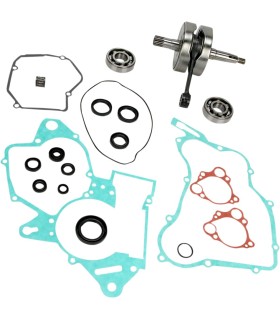 CRANK W/BRG + GASKET