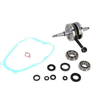CRANK W/BRG + GASKET