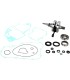 CRANK W/BRG + GASKET