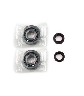 CRANKSHAFT REBUILDING KIT