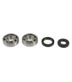 CRANKSHAFT REBUILDING KIT