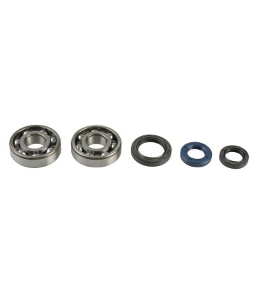 CRANKSHAFT REBUILDING KIT
