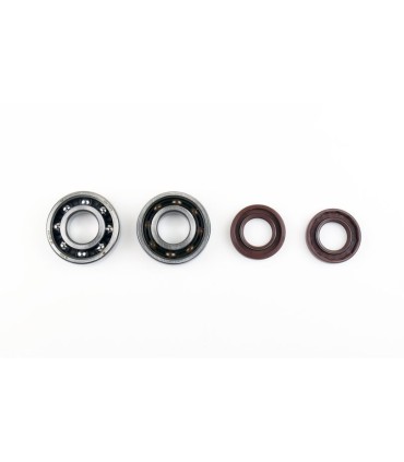 CRANKSHAFT REBUILDING KIT