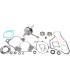 CRANKSHAFT KIT CBK0104