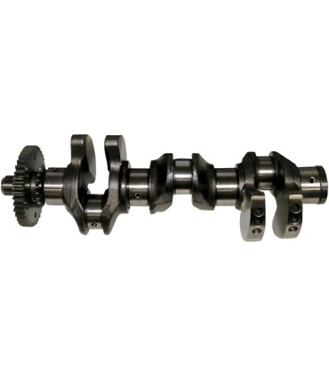 CRANKSHAFT 4-TEC