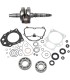 CRANKSHAFT KIT