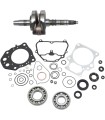 CRANKSHAFT KIT