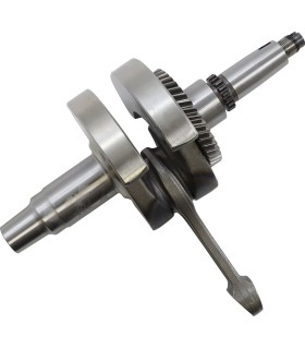 CRANKSHAFT POLARIS