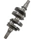 CRANKSHAFT POL RZR TURBO
