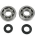 CRANK BRG/SEALS