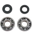 BEARINGSW/SLS CRNK-YZ125