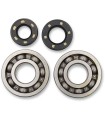BEARINGS CRANK KX250