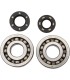 BEARINGS CRANK KX250