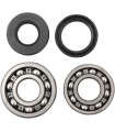 BEARINGS CRANK YZ85