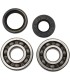 BEARINGS CRANK YZ125