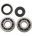BEARINGS CRANK YZ125