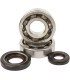 BEARINGS CRANK YZ250