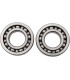 BEARINGS CRANK YZ250F
