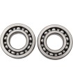 BEARINGS CRANK YZ250F