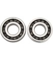 BEARINGS CRANK YZ450F