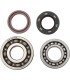 BEARINGS CRANK YFS200