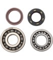 BEARINGS CRANK YFS200