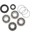 BEARING CRANK YFZ350