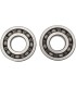 BEARING CRANK YFM350
