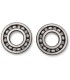 BEARINGS CRANK YFM660R