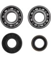 BEARINGS CRANK POLARIS