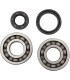 BEARINGS CRANK