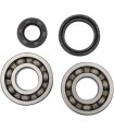 BEARINGS CRANK
