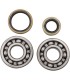BEARINGS CRANK