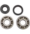 BEARINGS CRANK