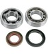 BEARINGS CRANK 85SX