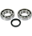 BEARING-CRANK KX250F